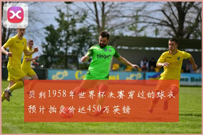 贝利1958年世界杯决赛穿过的球衣预计拍卖价达450万英镑