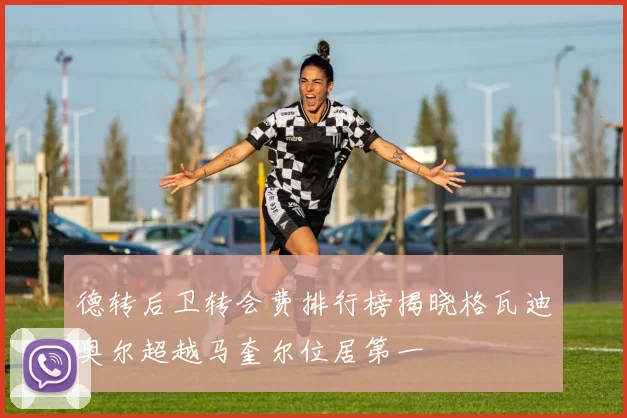 德转后卫转会费排行榜揭晓格瓦迪奥尔超越马奎尔位居第一